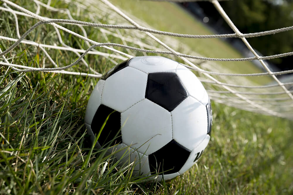 Soccer Ball in Grass