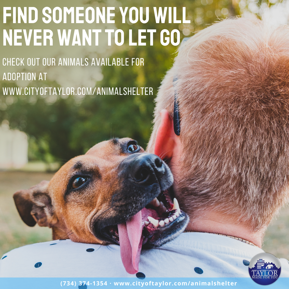 Taylor Animal Shelter Informational Poster.