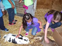 Children petting rabbit